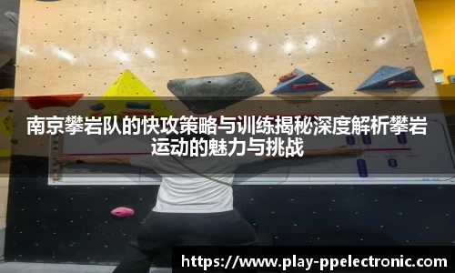 pp电子官网